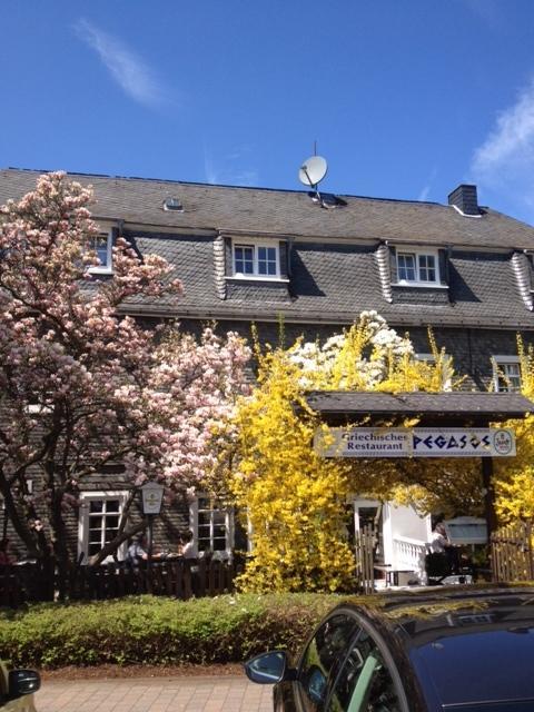 Hotel Friedrich Hachenburg Exterior foto